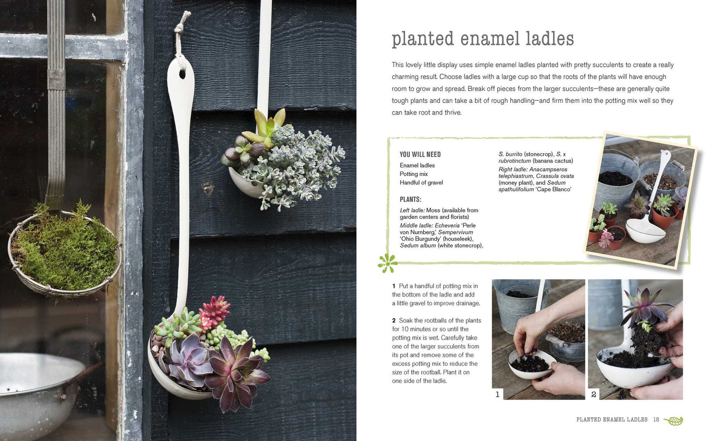 Tiny Tabletop Gardens: 35 projects for super-small spaces-outdoors and in