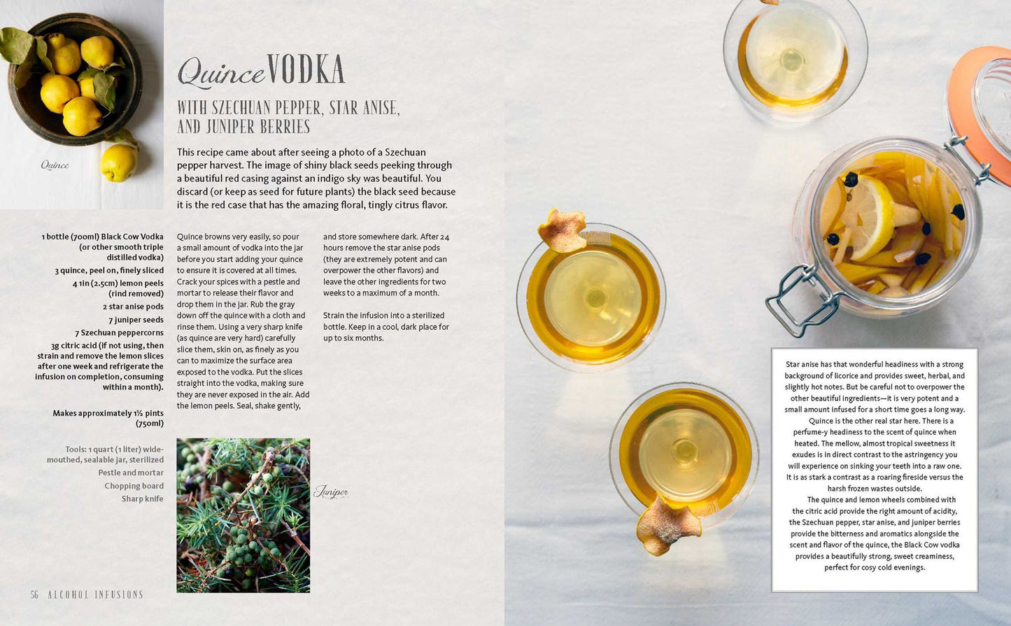 Wild Mocktails and Healthy Cocktails: Home-grown and foraged low-sugar recipes from the Midnight Apothecary