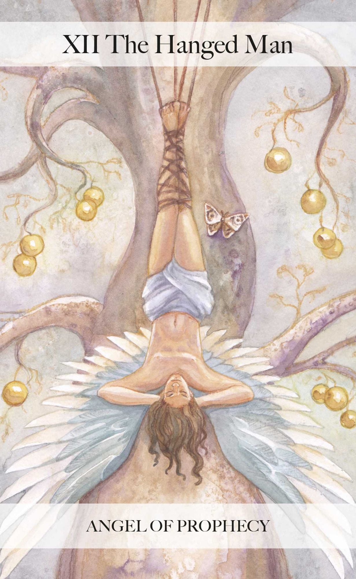 The Angel Tarot: Includes a Full Deck of 78 Specially Commissioned Tarot Cards and a 64-Page Illustrated Book