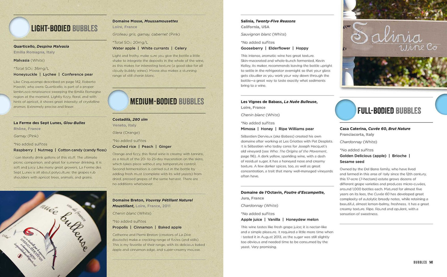 Natural Wine: An Introduction to Organic and Biodynamic Wines Made Naturally