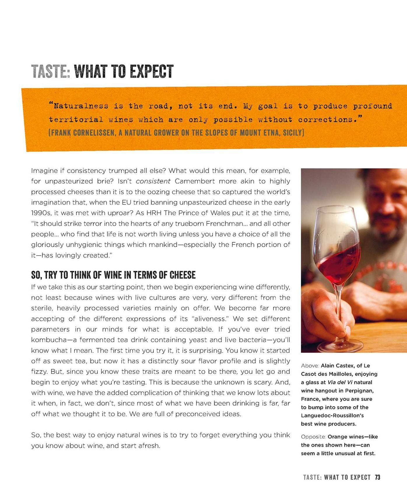 Natural Wine: An Introduction to Organic and Biodynamic Wines Made Naturally