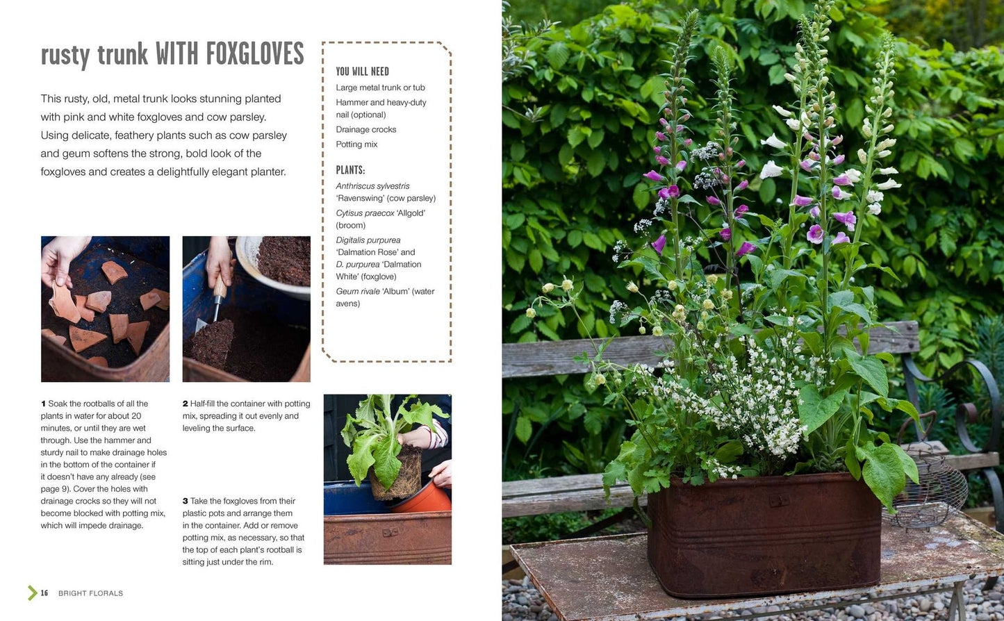 Small Summer Gardens: 35 bright and beautiful gardening projects to bring color and scent to your garden