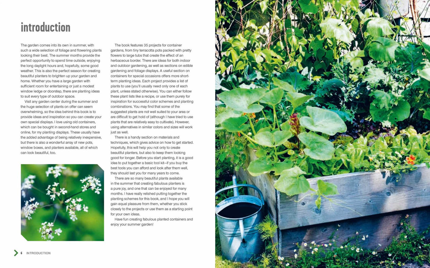 Small Summer Gardens: 35 bright and beautiful gardening projects to bring color and scent to your garden