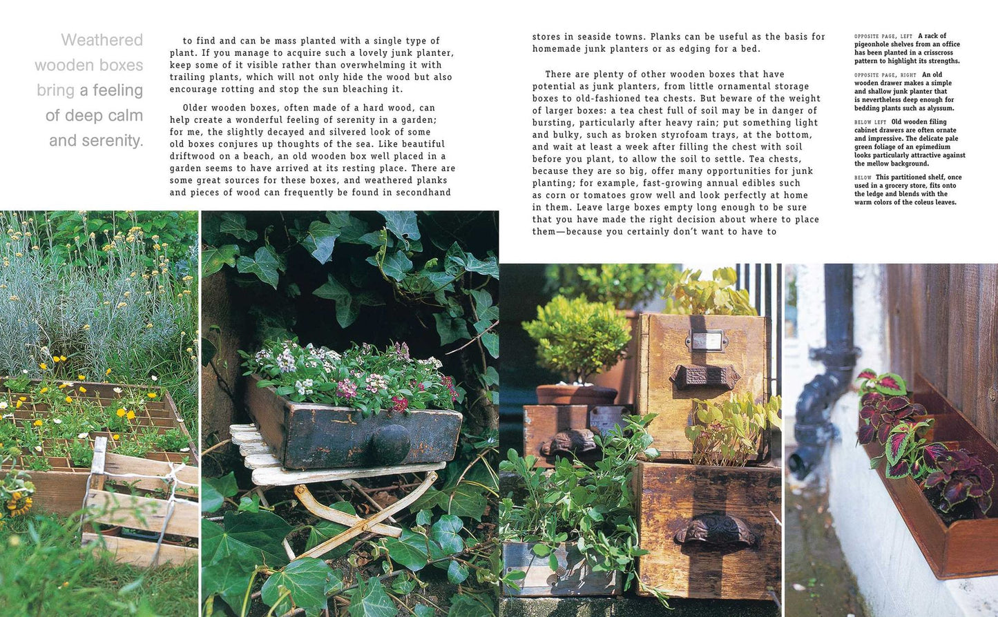 Gardening with Junk: Simple and innovative planting ideas using recycled pots and containers