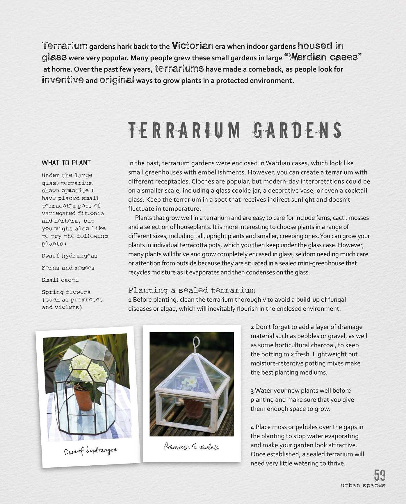 The Balcony Gardener: Creative ideas for small spaces