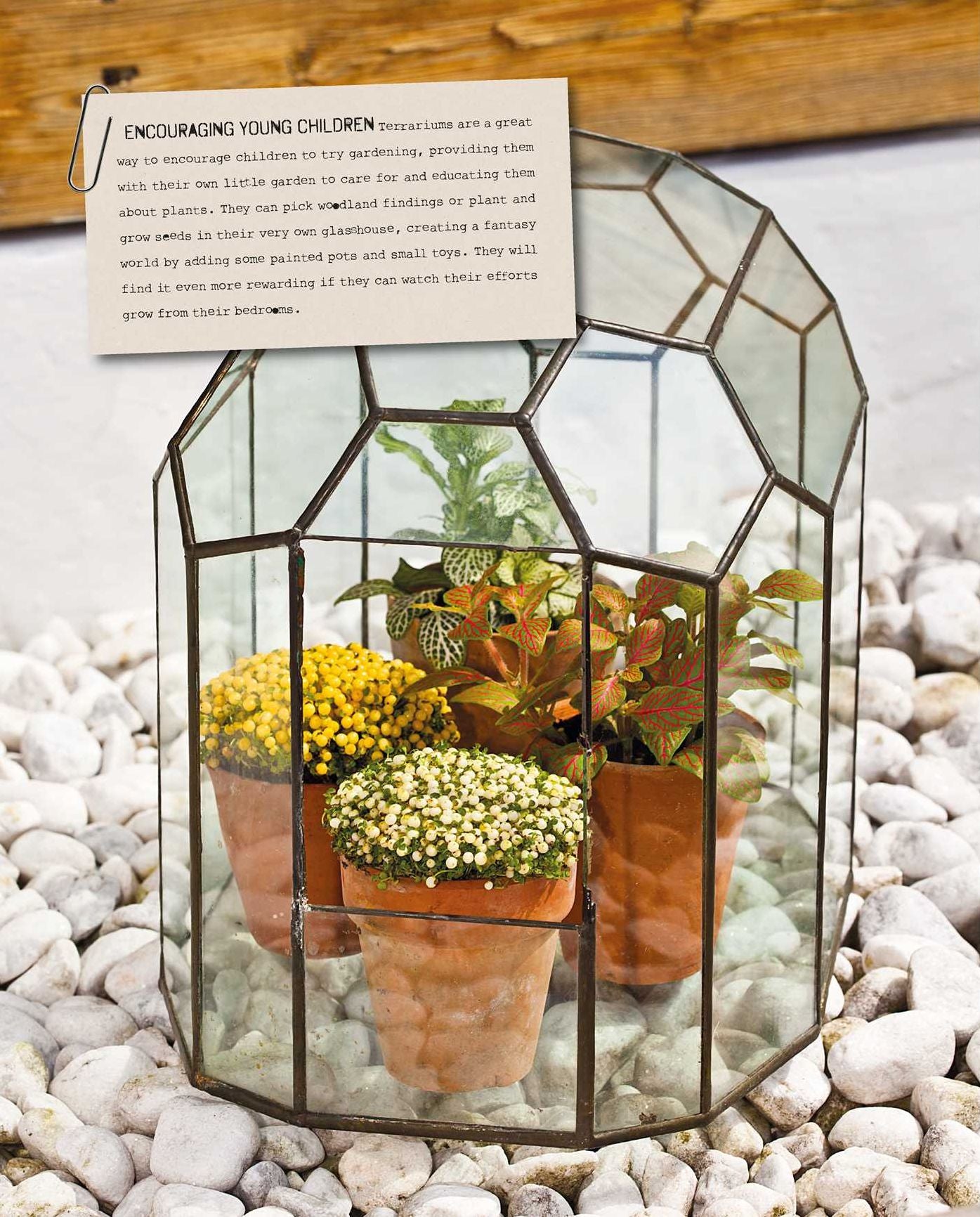 The Balcony Gardener: Creative ideas for small spaces