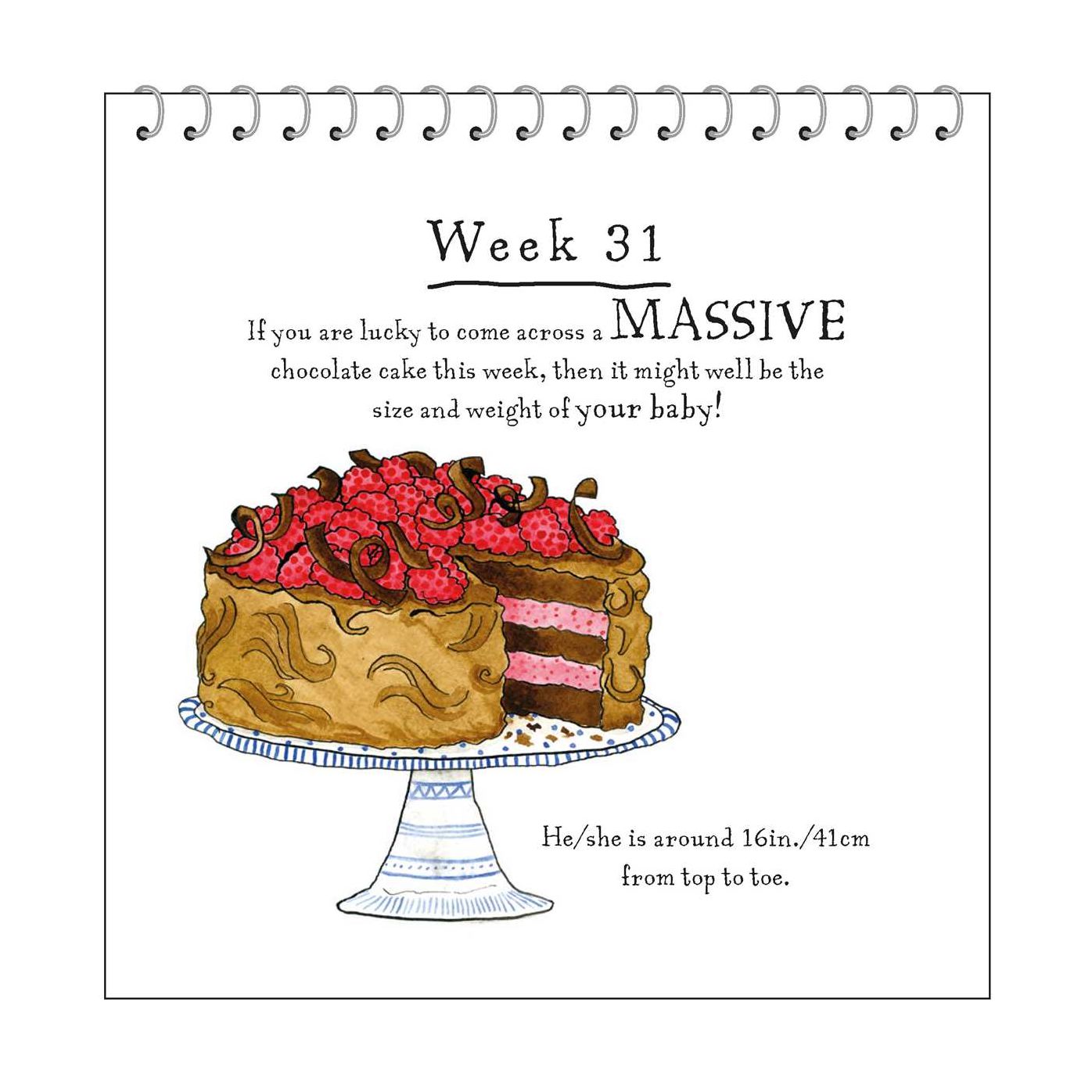 A Bun in the Oven: A weekly guide to the wonders of pregnancy