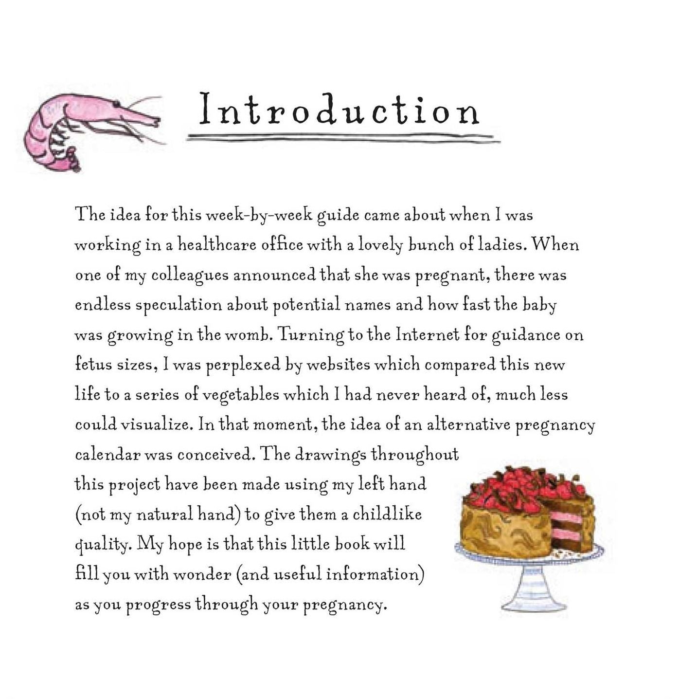 A Bun in the Oven: A weekly guide to the wonders of pregnancy