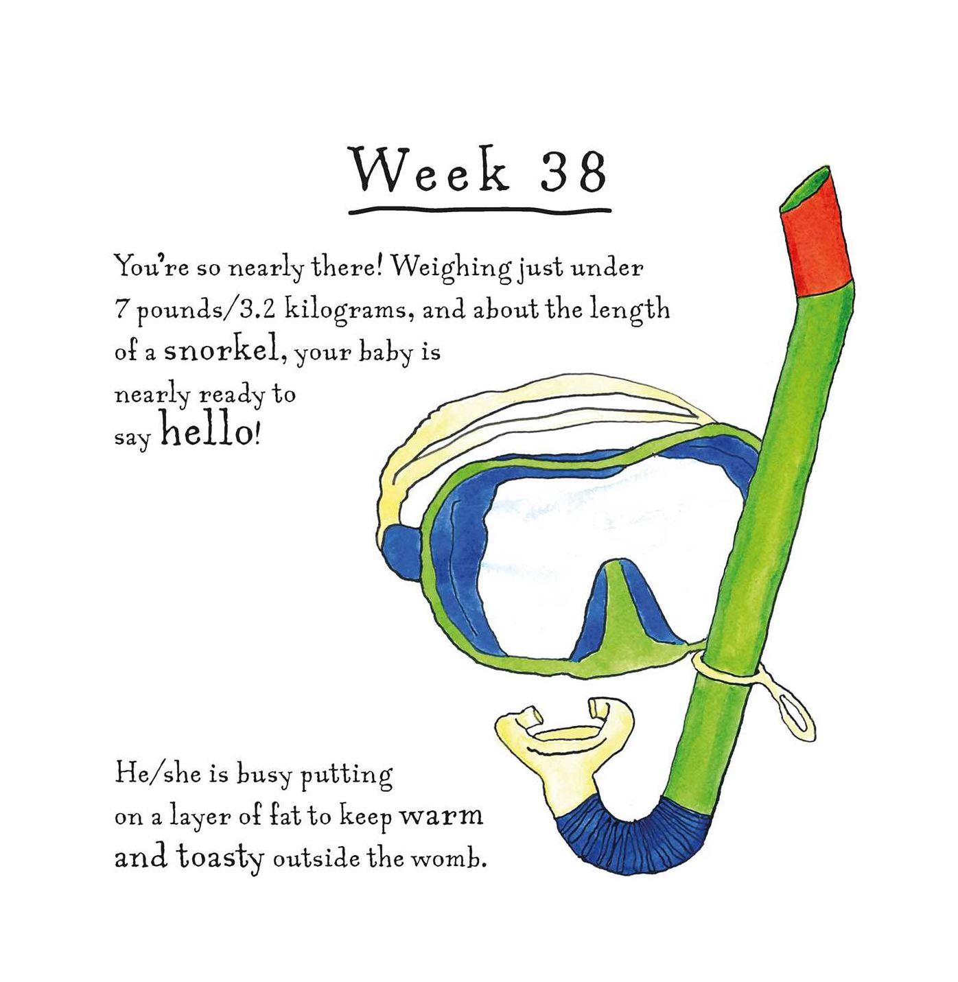 A Bun in the Oven: A weekly guide to the wonders of pregnancy