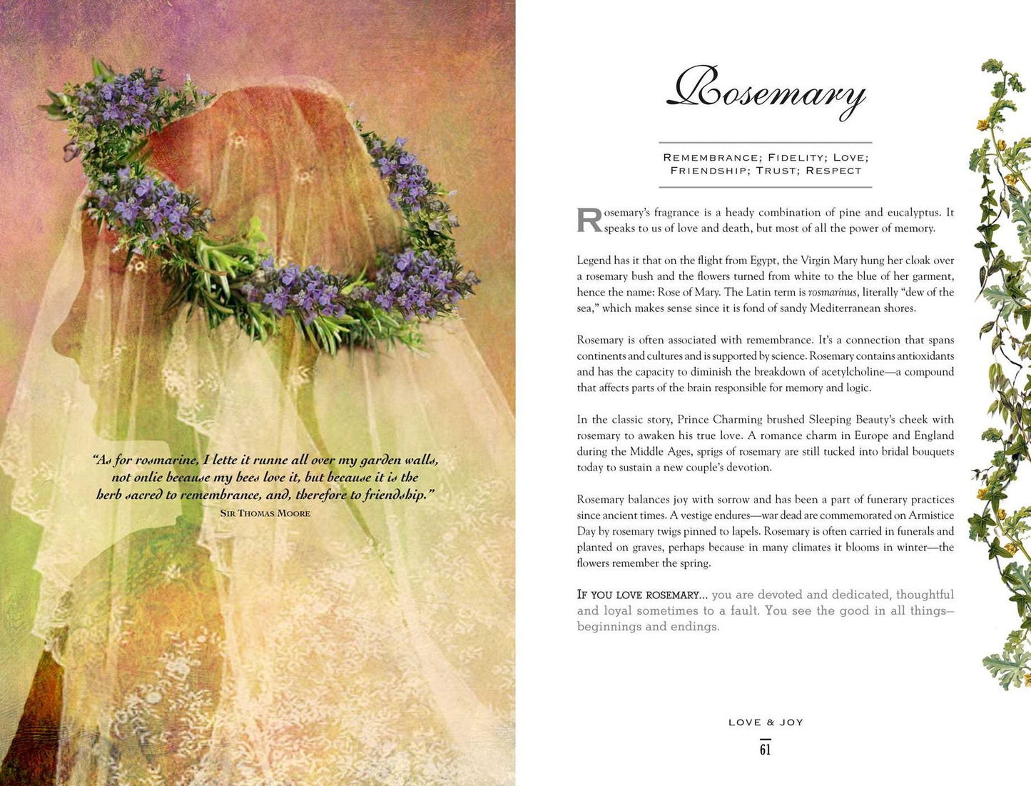 The Secret Language of Herbs