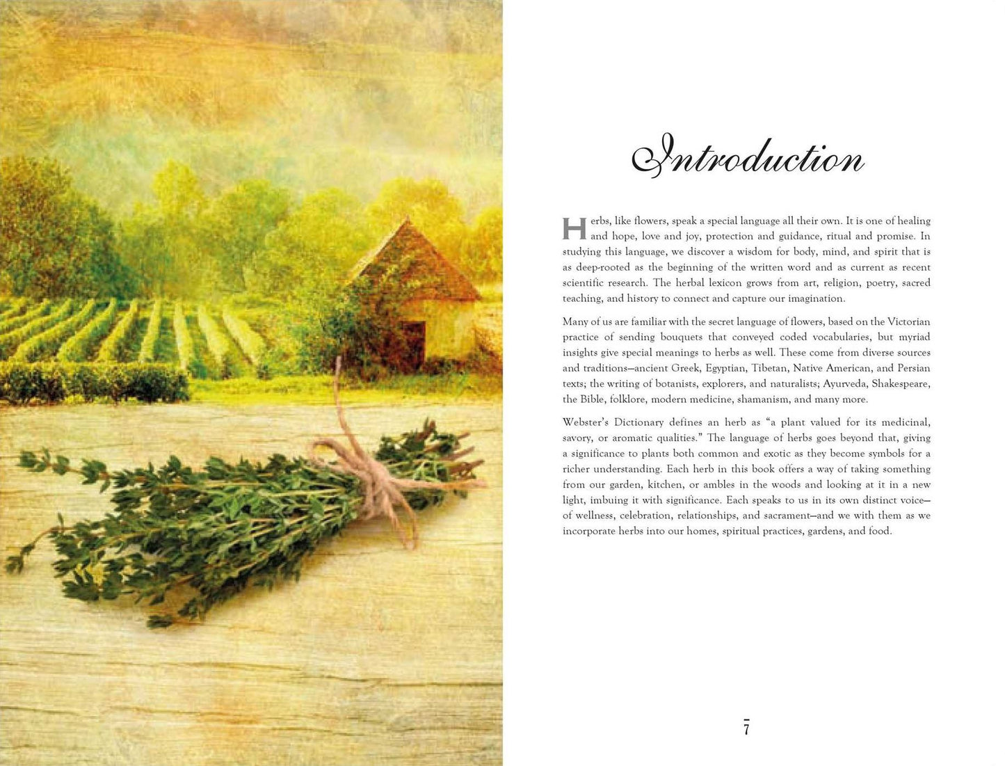 The Secret Language of Herbs