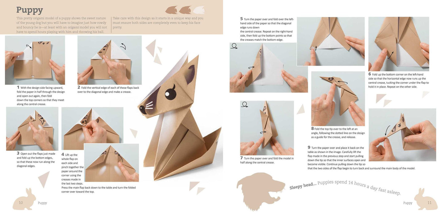 Fun Origami for Children: Pets!: 12 amazing animals to fold