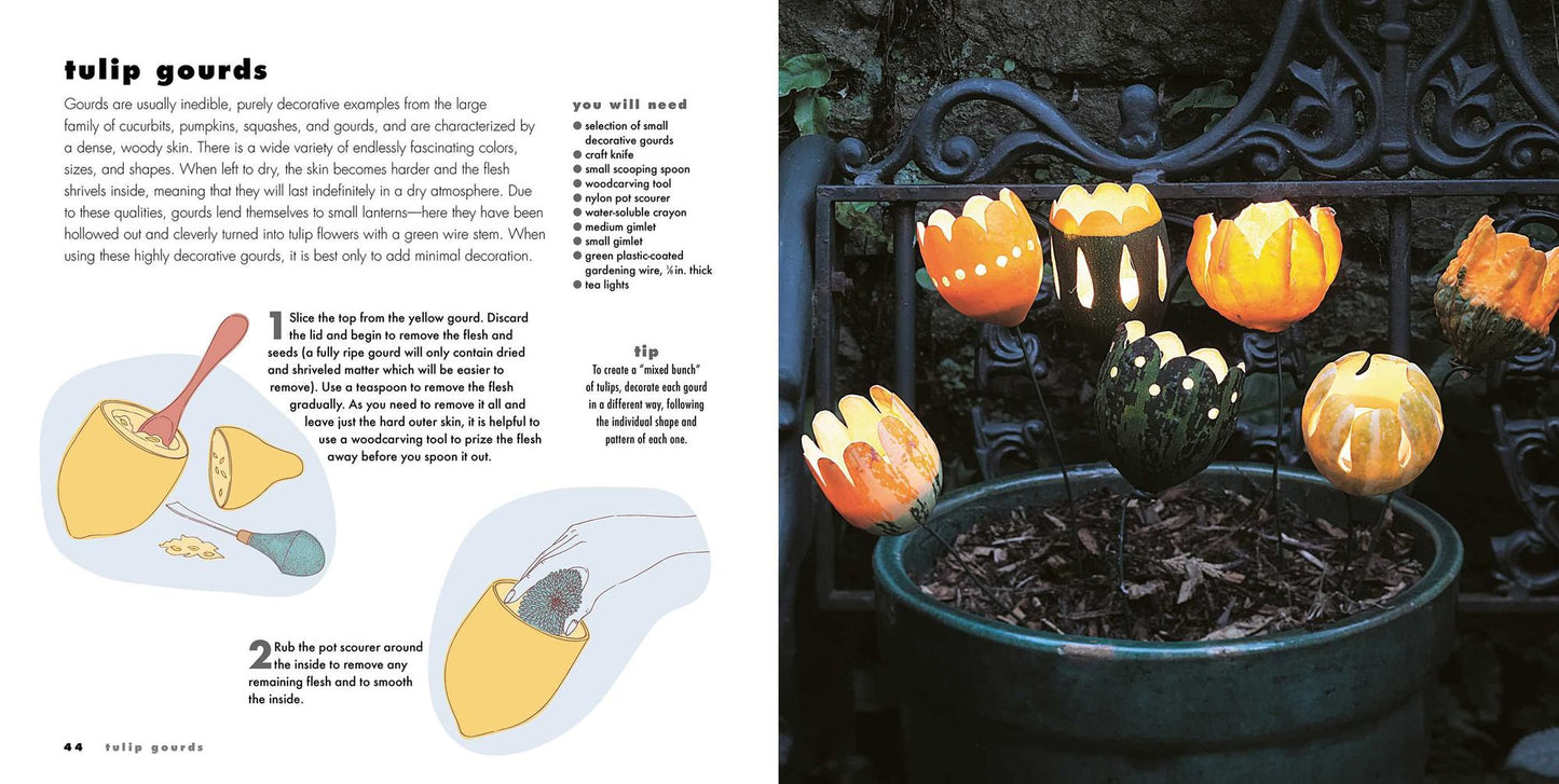 Decorating Pumpkins & Gourds: 20 fun & stylish projects for decorating pumpkins, gourds, and squashes