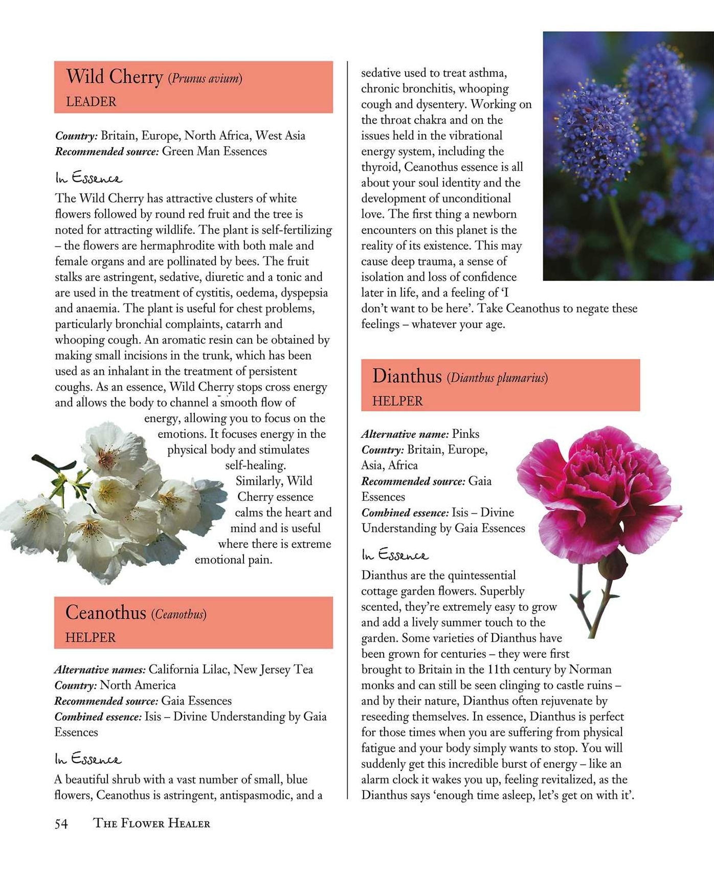 Flower Essences for Well-being: Energetic healing for health and harmony
