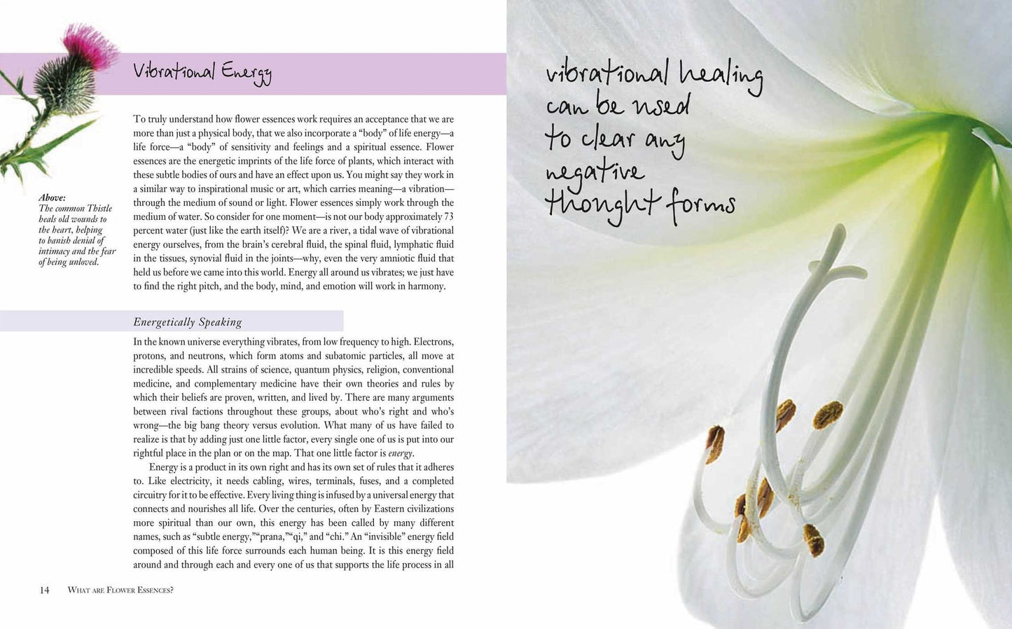 Flower Essences for Well-being: Energetic healing for health and harmony