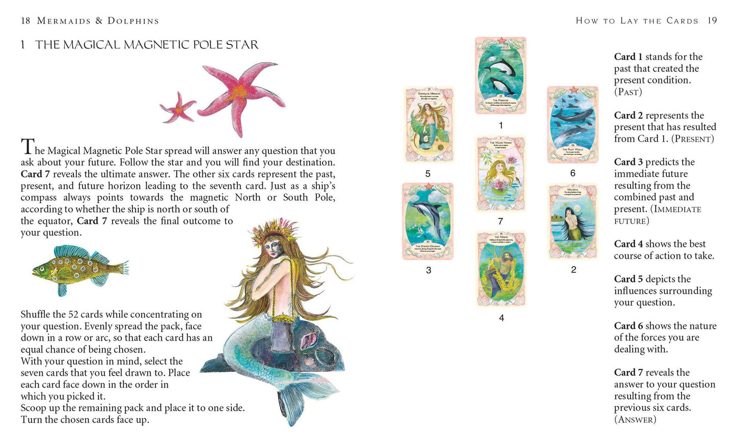 Mermaids and Dolphins: and magical creatures of the sea