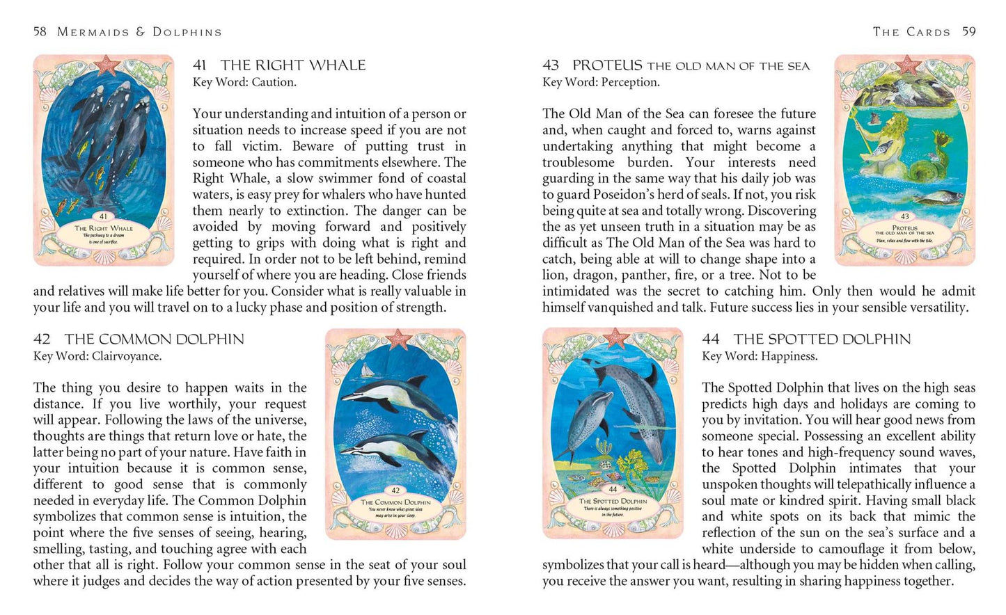 Mermaids and Dolphins: and magical creatures of the sea