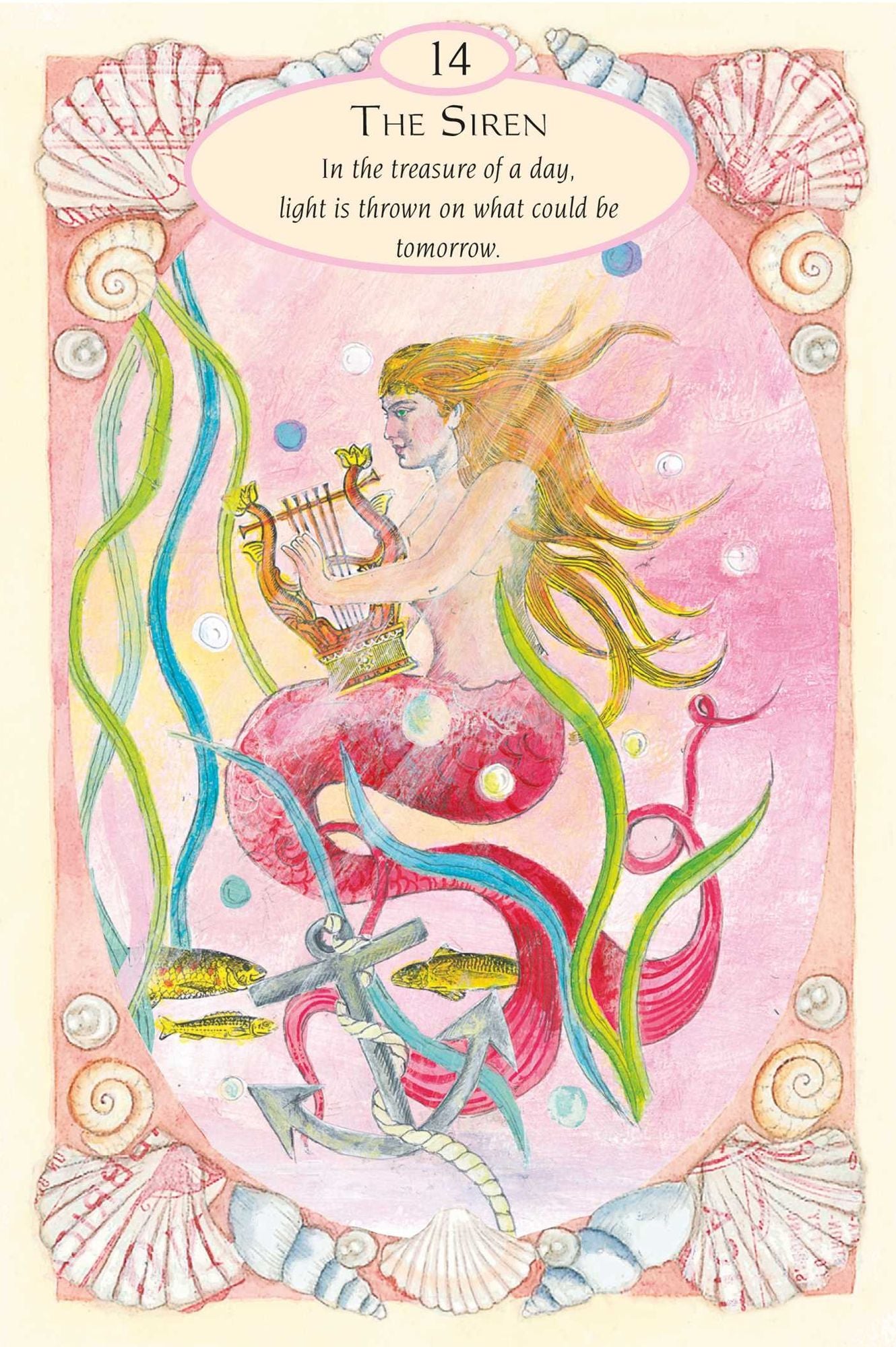 Mermaids and Dolphins: and magical creatures of the sea