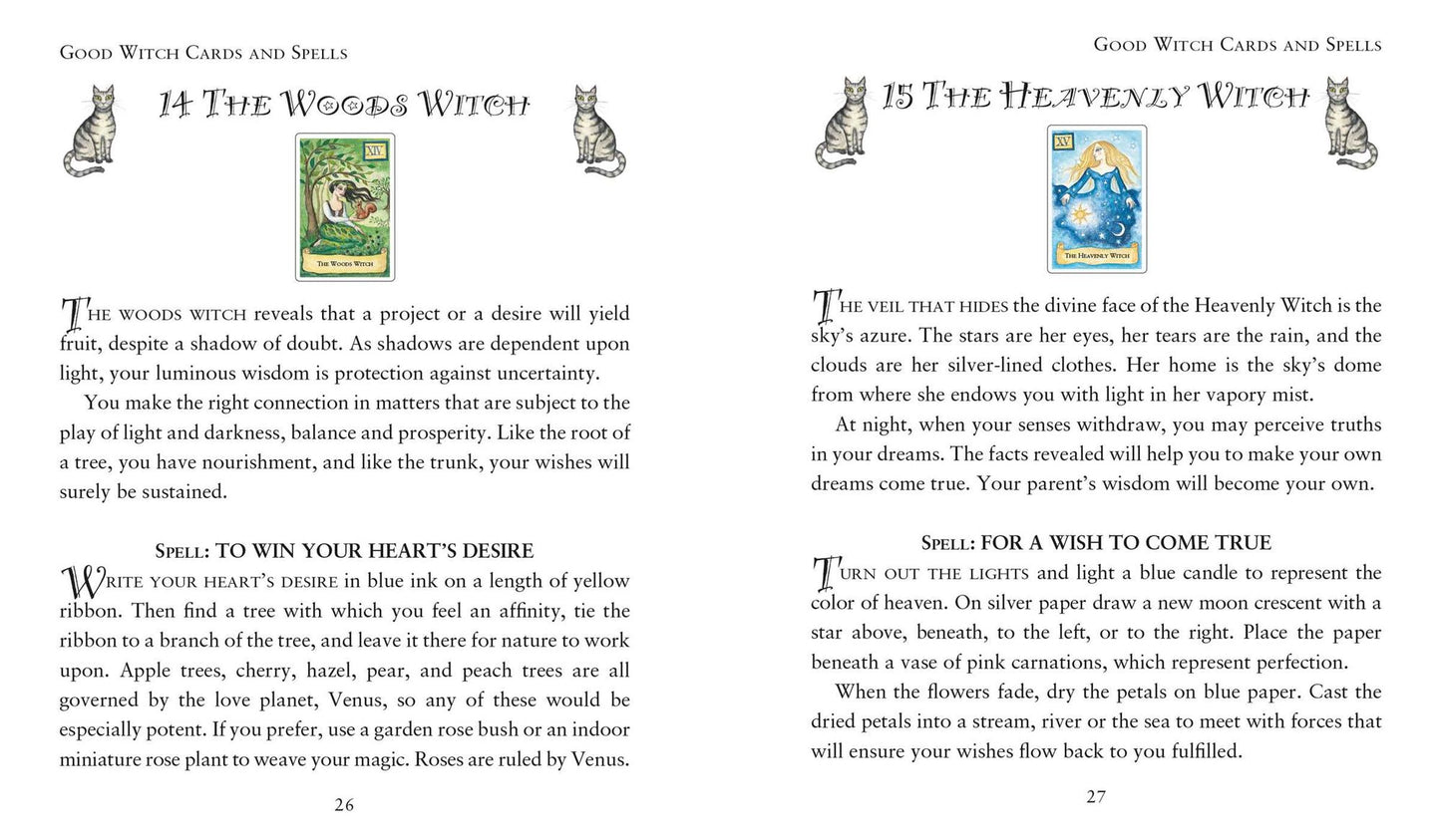 The Modern Wiccan Box of Spells: Includes 52 enchanting cards and a 64-page illustrated spell book