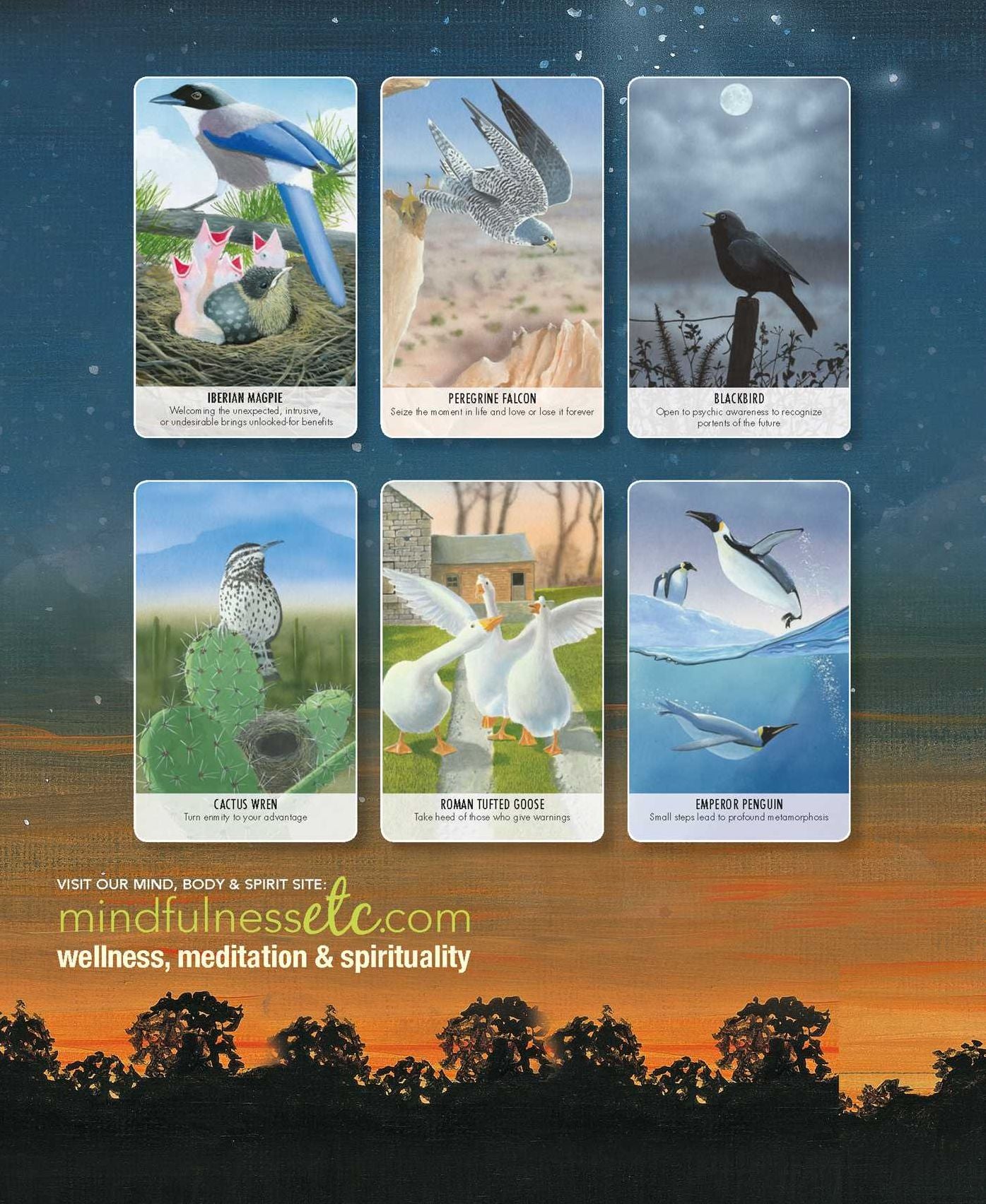Bird Messages: Includes 52 Specially Commissioned Cards and a 64-Page Illustrated Book