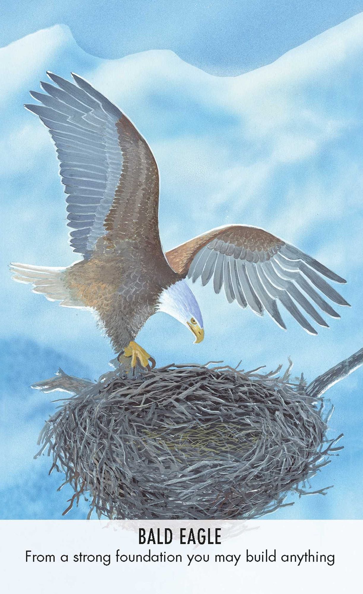 Bird Messages: Includes 52 Specially Commissioned Cards and a 64-Page Illustrated Book