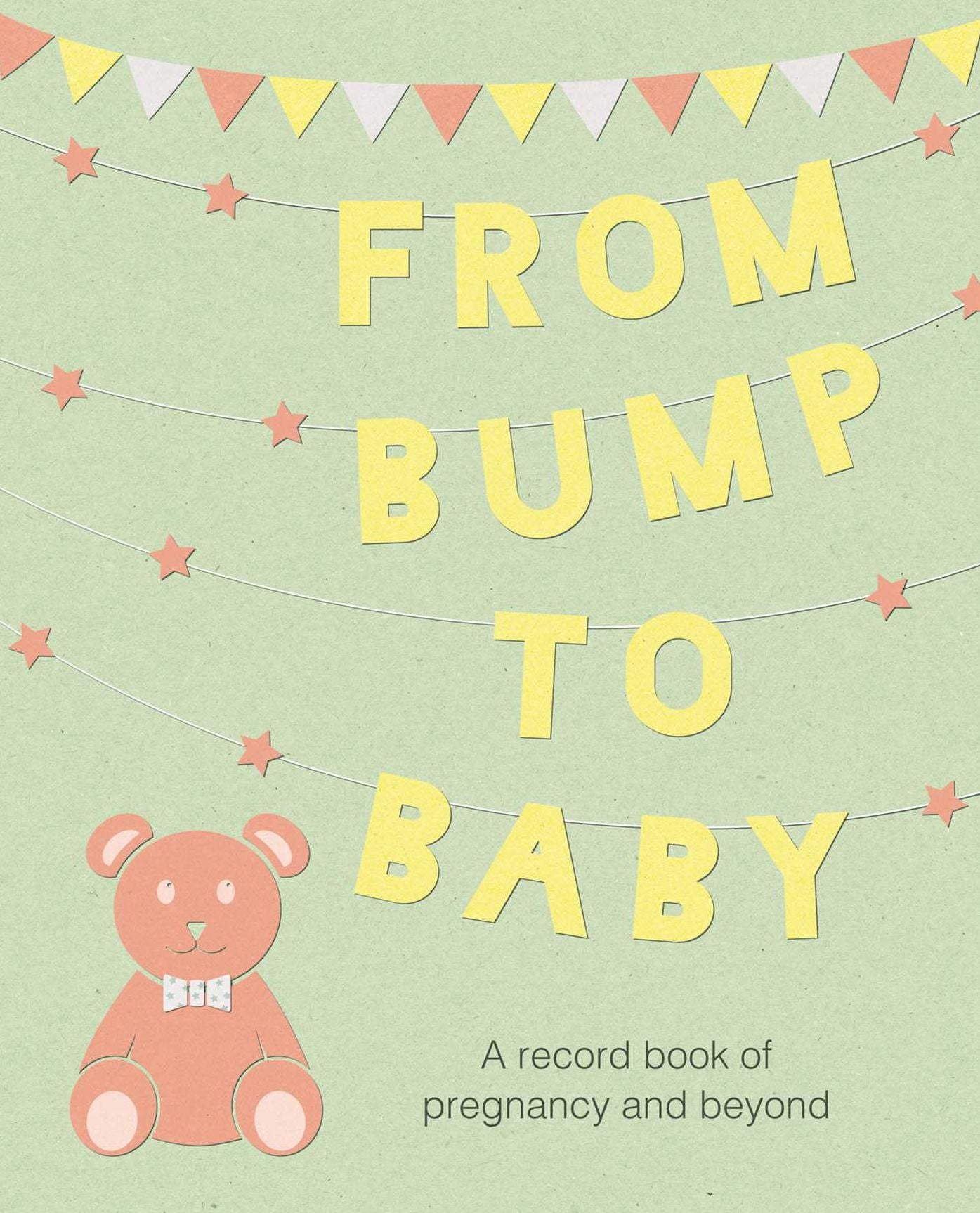 From Bump to Baby: A record book of pregnancy and beyond