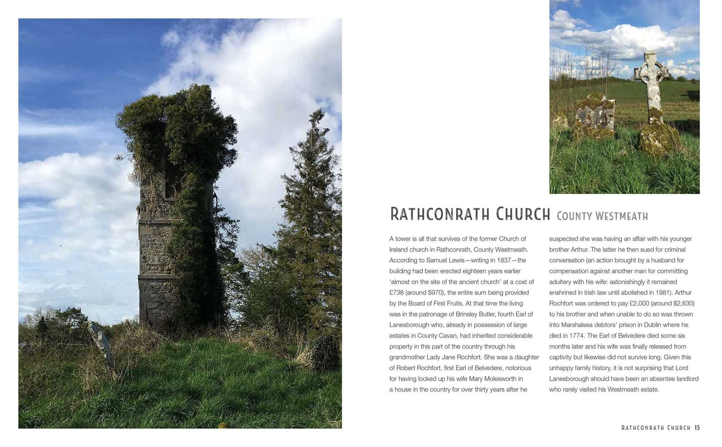The Irish Aesthete: Ruins of Ireland