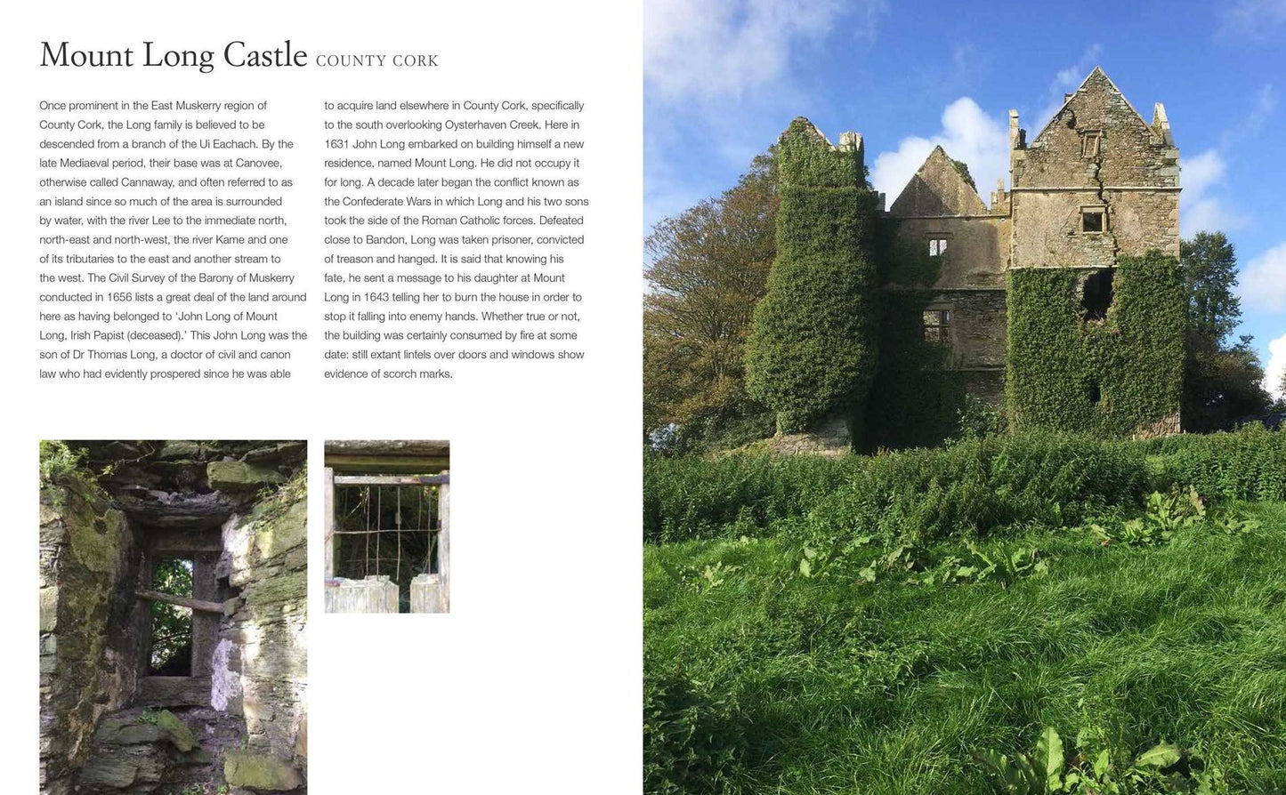 The Irish Aesthete: Ruins of Ireland