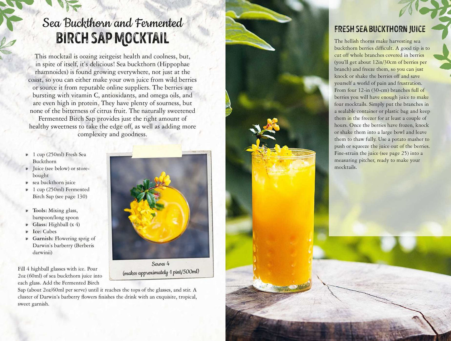 Wild Mocktails: Delicious Mocktails Using Home-Grown and Foraged Ingredients