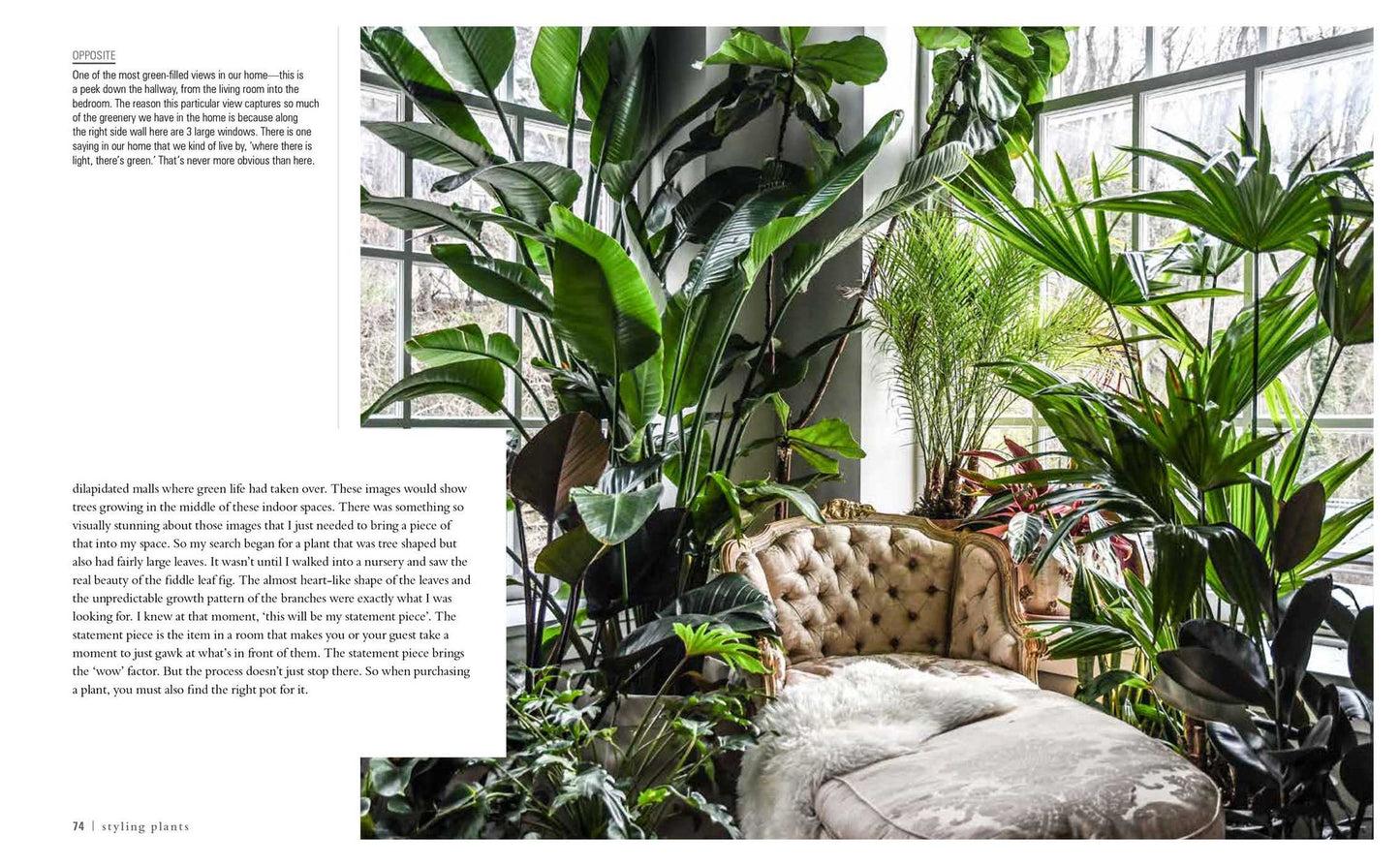 Wild at Home: How to Style and Care for Beautiful Plants