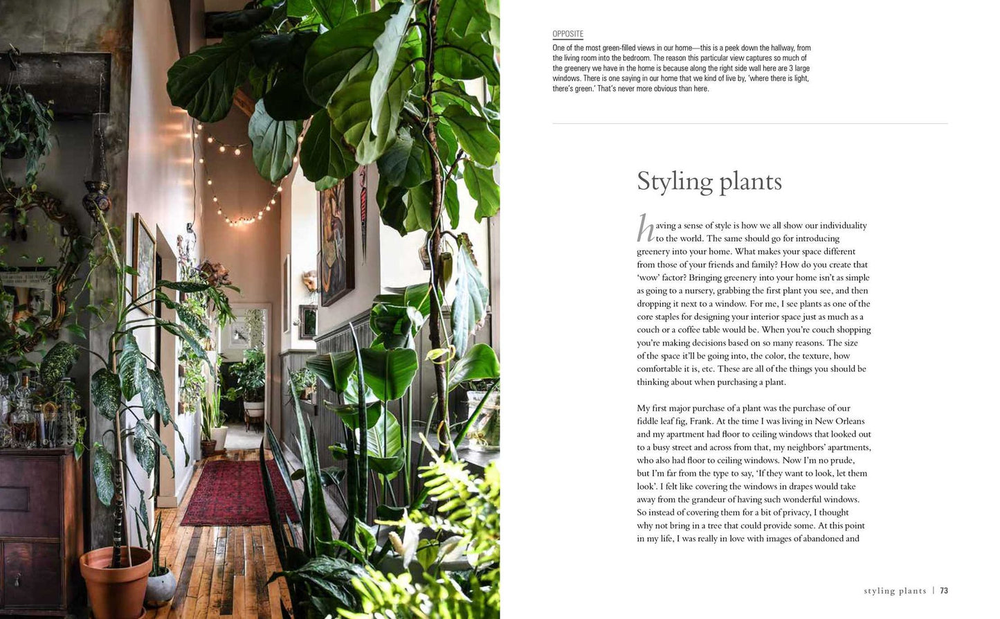 Wild at Home: How to Style and Care for Beautiful Plants
