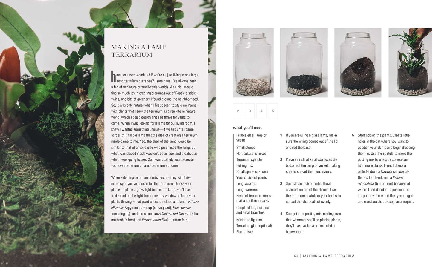 Wild at Home: How to Style and Care for Beautiful Plants