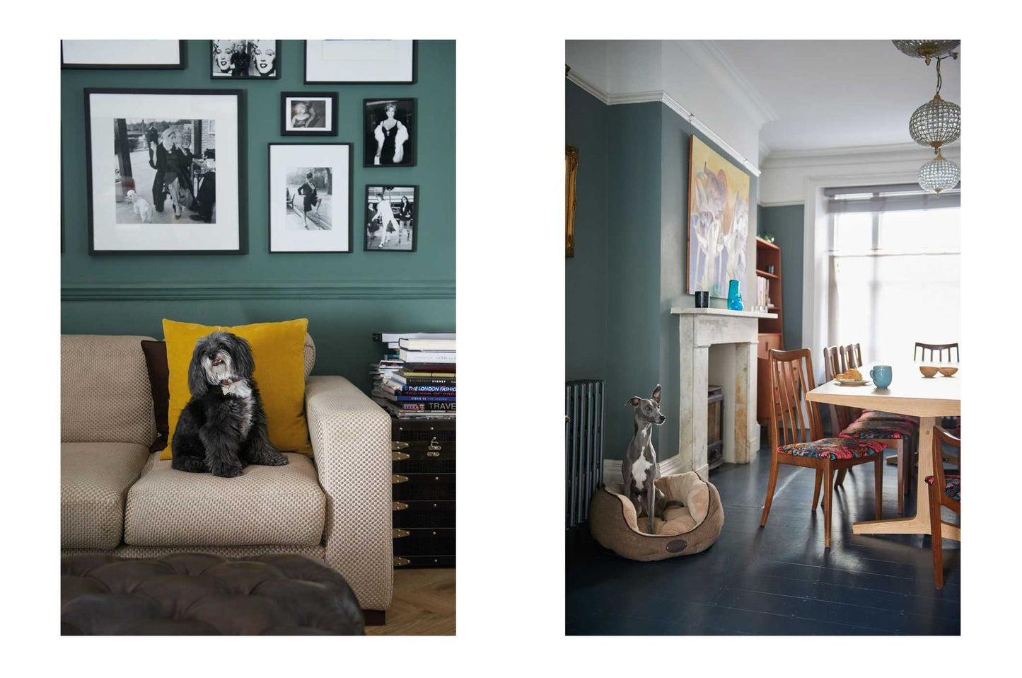 Cool Dogs, Cool Homes: Living in style with your dog