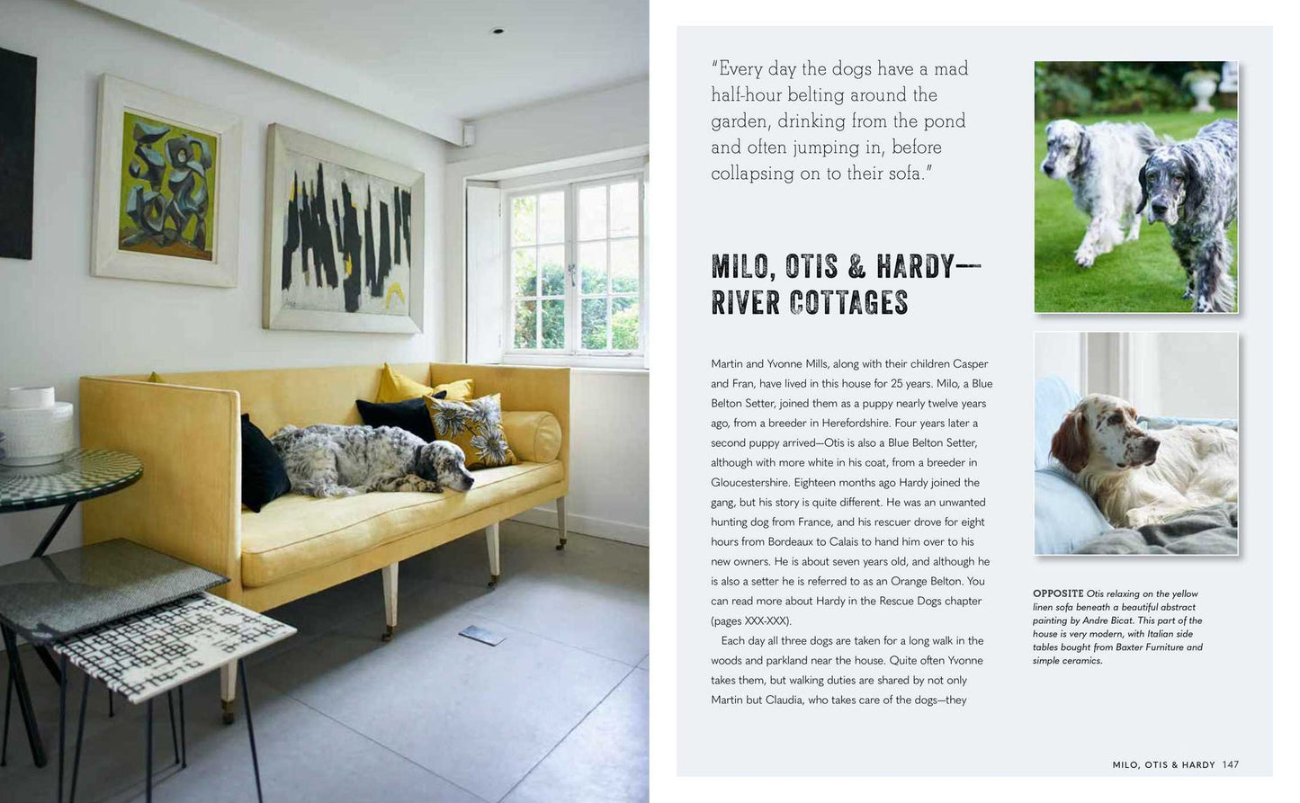 Cool Dogs, Cool Homes: Living in style with your dog