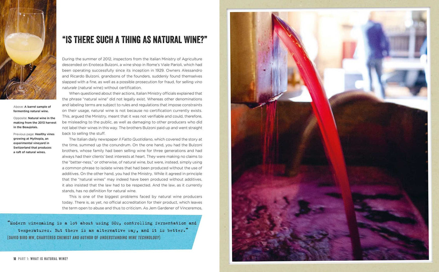 Natural Wine: An introduction to organic and biodynamic wines made naturally