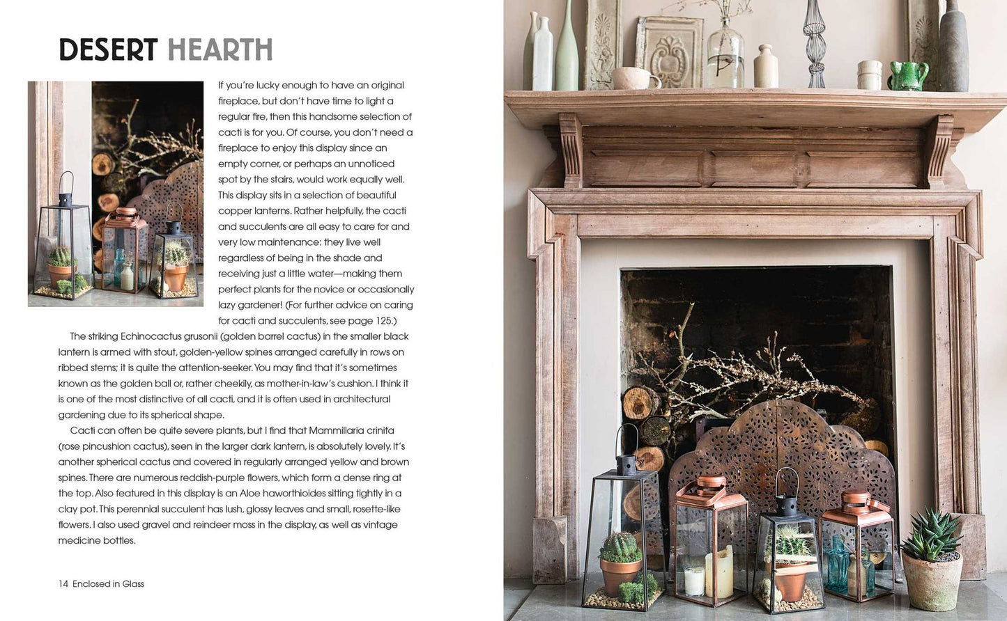 Succulents and All things Under Glass: Ideas and inspiration for indoor gardens