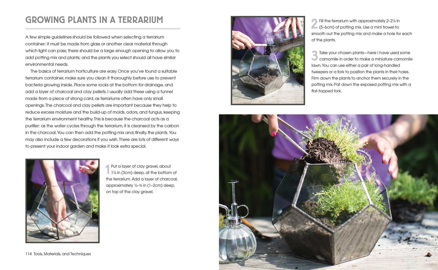 Succulents and All things Under Glass: Ideas and inspiration for indoor gardens