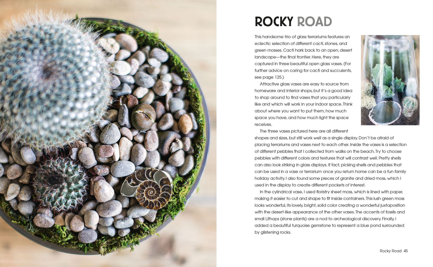 Succulents and All things Under Glass: Ideas and inspiration for indoor gardens