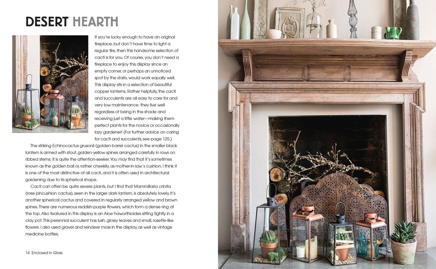 Succulents and All things Under Glass: Ideas and inspiration for indoor gardens