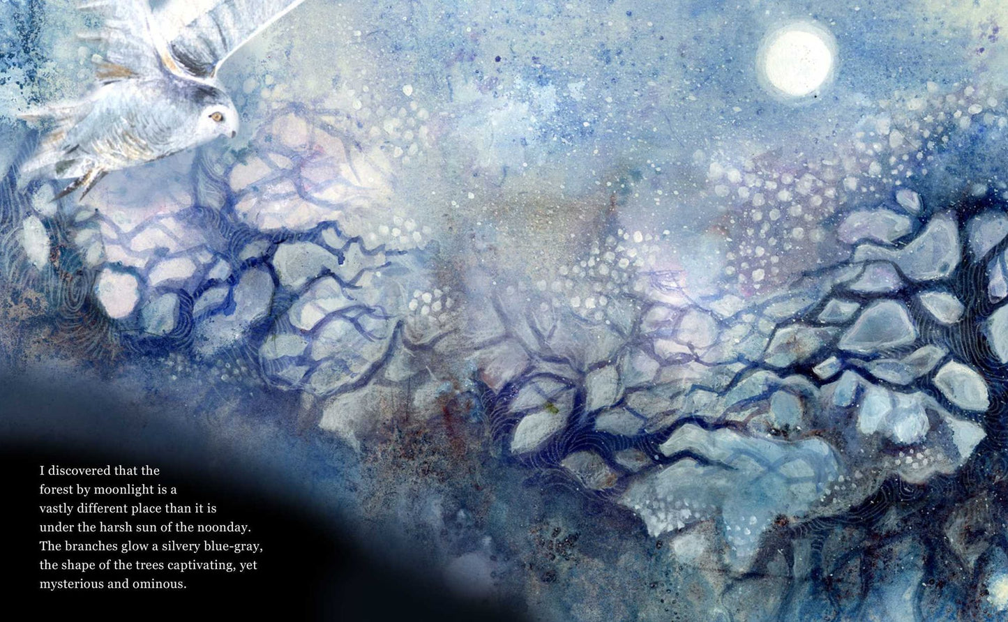 A Magical Night Journey Under the Moon and Stars: Finding wonder and serenity