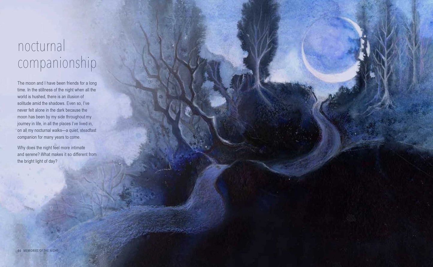 A Magical Night Journey Under the Moon and Stars: Finding wonder and serenity