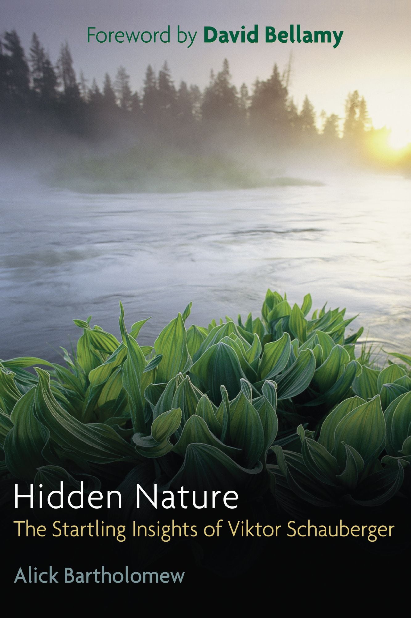Hidden Nature: The Startling Insights of Viktor Schauberger