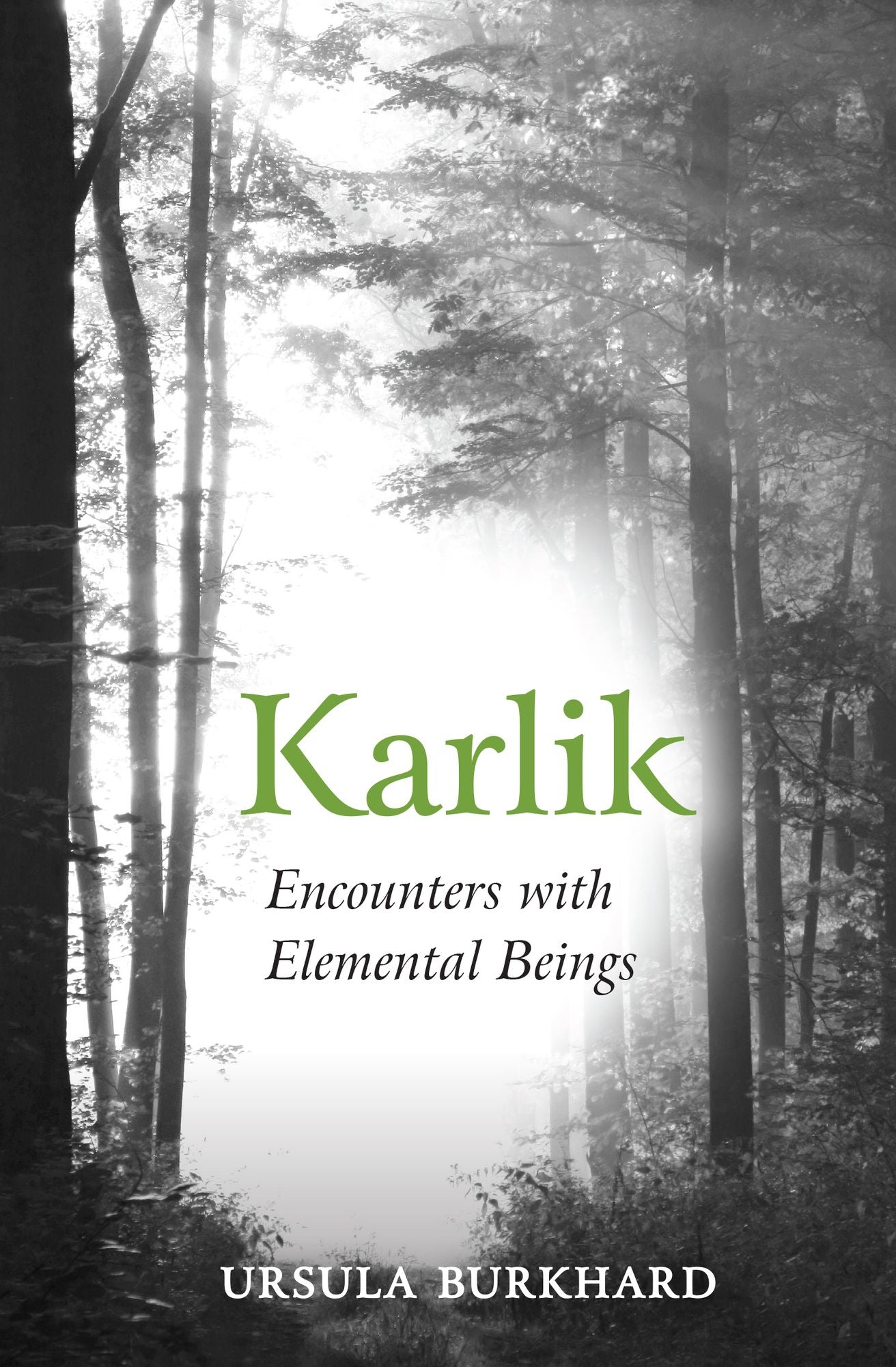Karlik: Encounters with Elemental Beings
