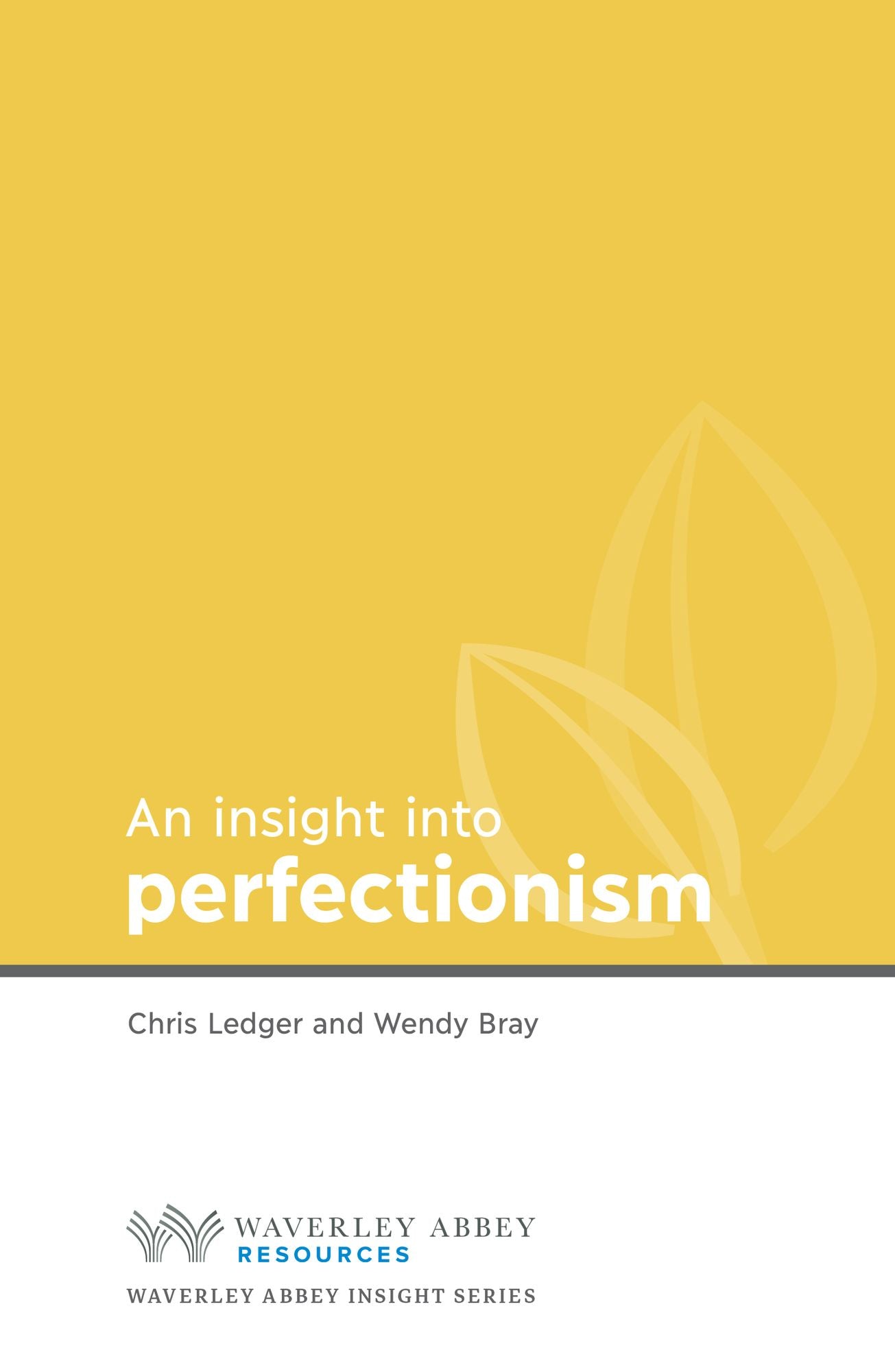 Insight into Perfectionism