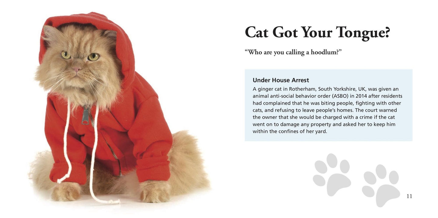 Cats Gone Bad