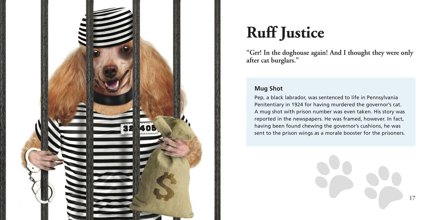 Dogs Gone Bad