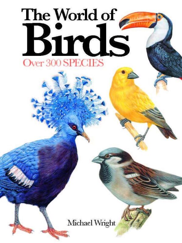 The World of Birds: Over 300 Species