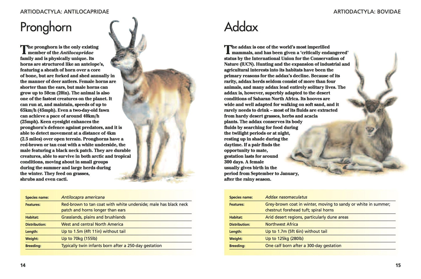 Mammals: 300 Amazing Animals