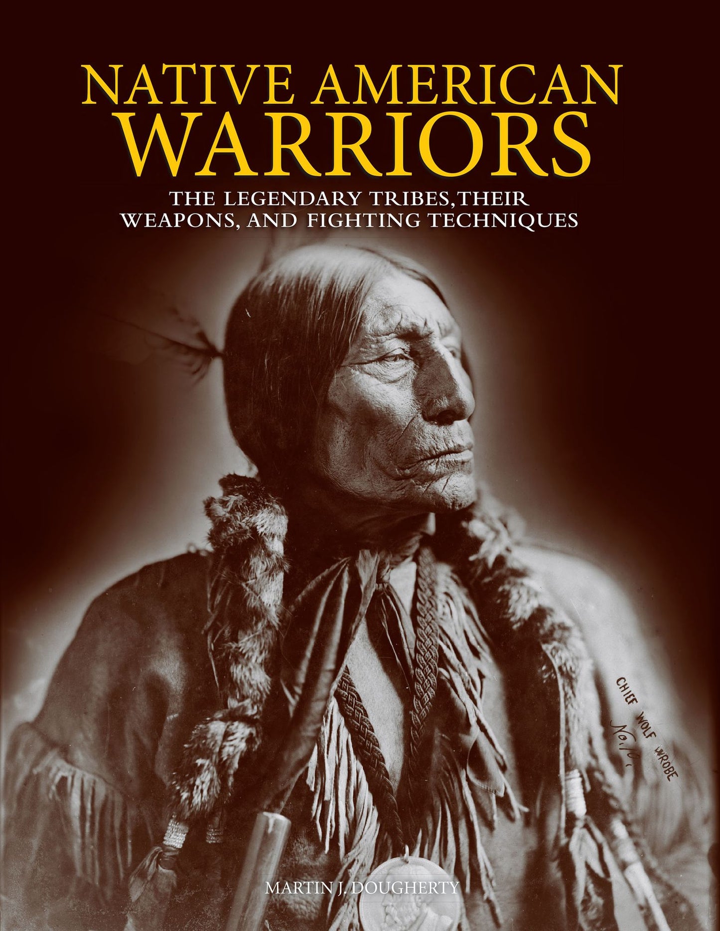 Native American Warrior