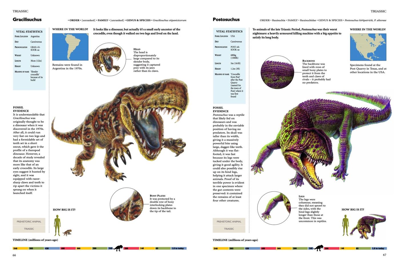 Encyclopedia of Dinosaurs